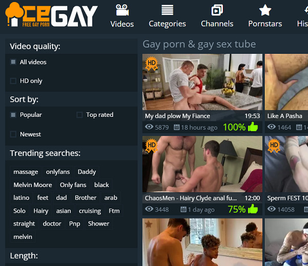 icegay